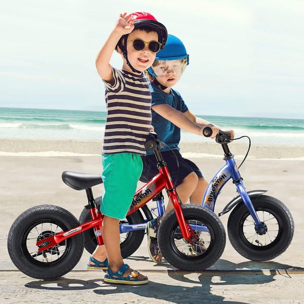 Deux jeunes garçons se promenant sur la plage avec leur drasienne.